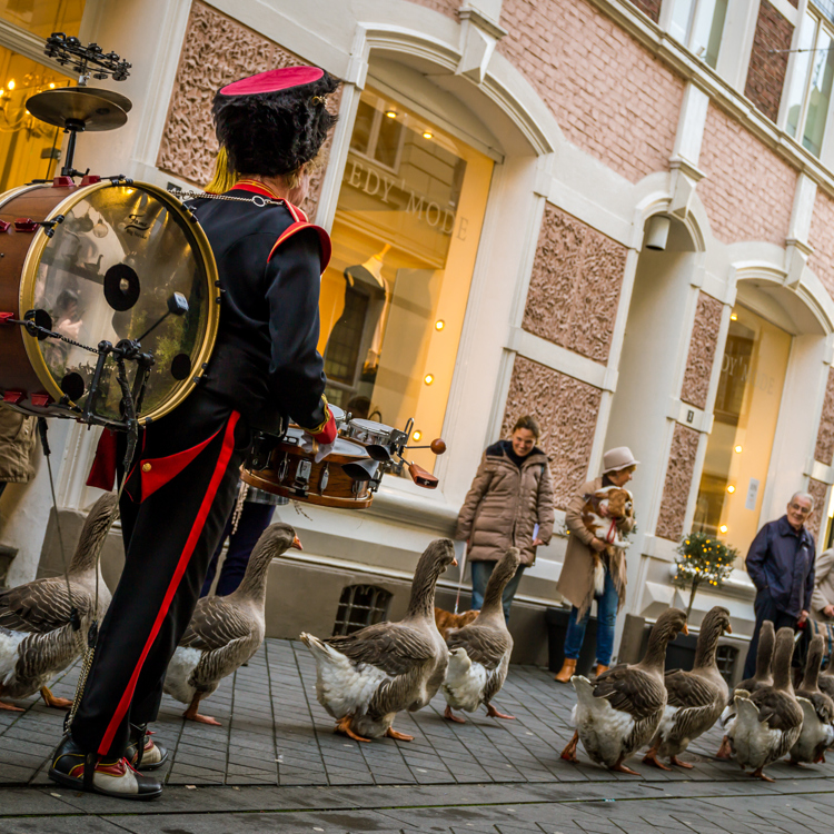 Mensen kijken naar parade van ganzen met daarachter een muzikant met dikke trom op de rug