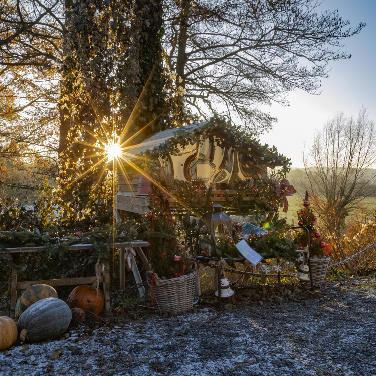 Grote kerststal voor bomen waar zon doorheen schijnt in Zuid-Limburgs winters landschap